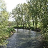 photo de la seille
