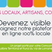 Infographie sur la plateforme en ligne