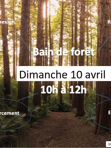 Affiche de l'évènement Bain de forêt