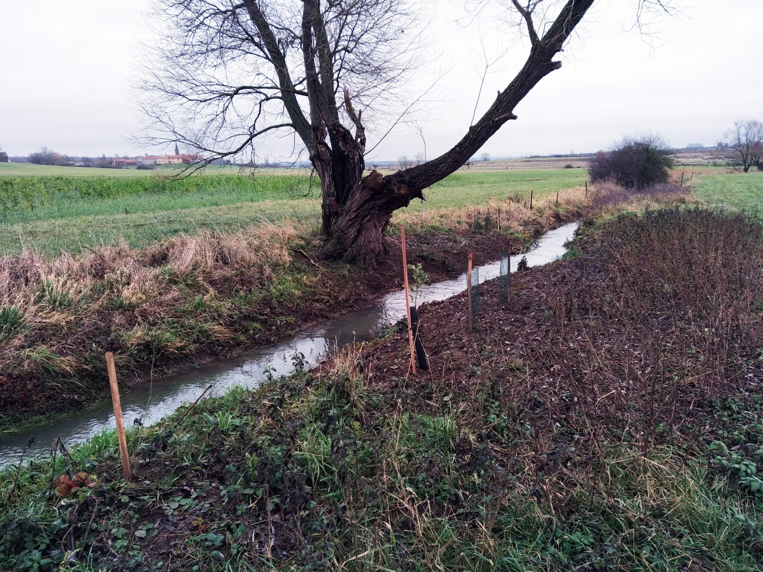 img 20231208 105046 1