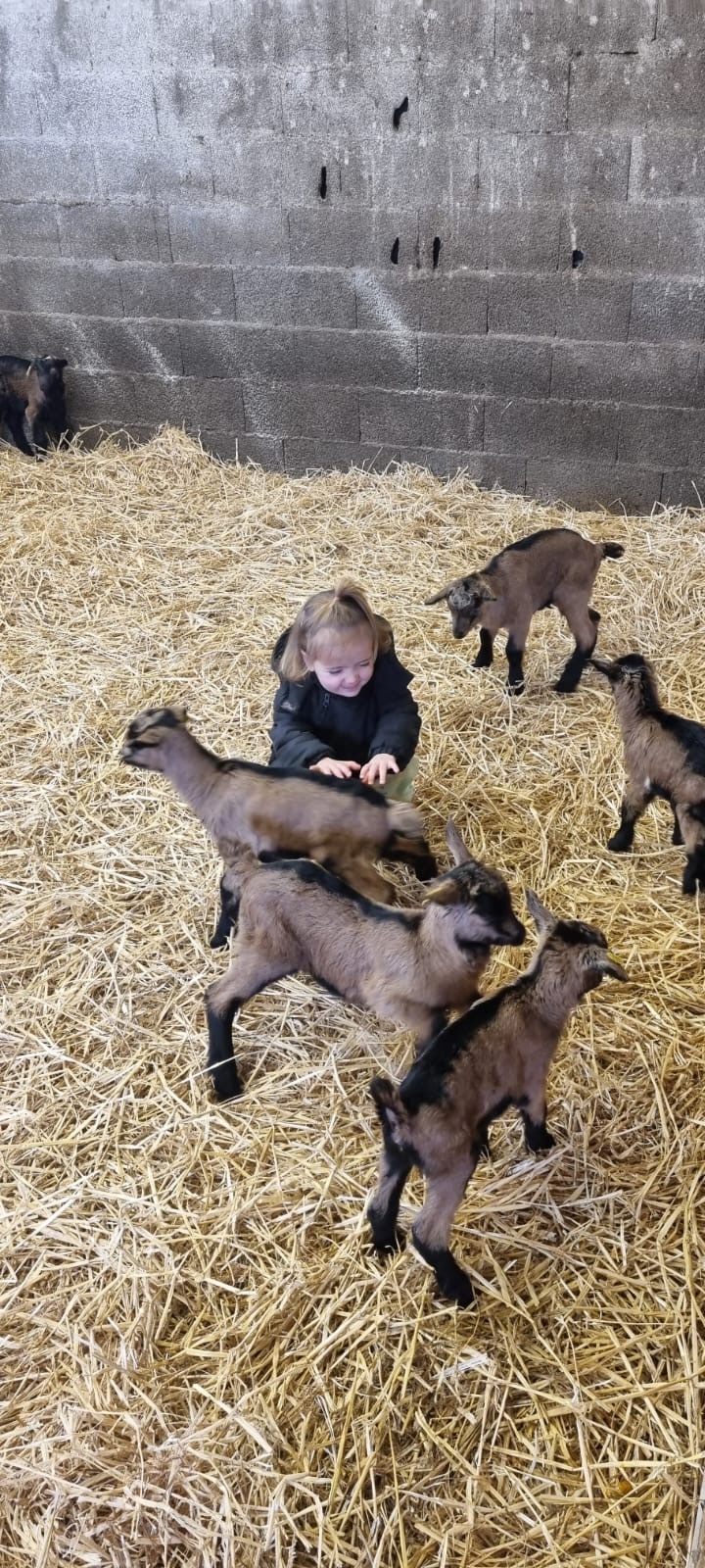 28d99ed6 a94a 4e48 97d8 8cd16be28b13