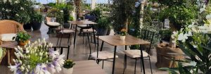 decorjardin salle aspect ratio 1088 380