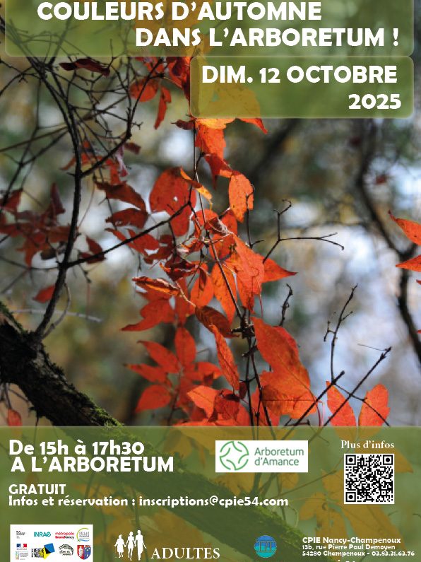 Affiche de l'évènement COULEURS D’AUTOMNE DANS L’ARBORETUM