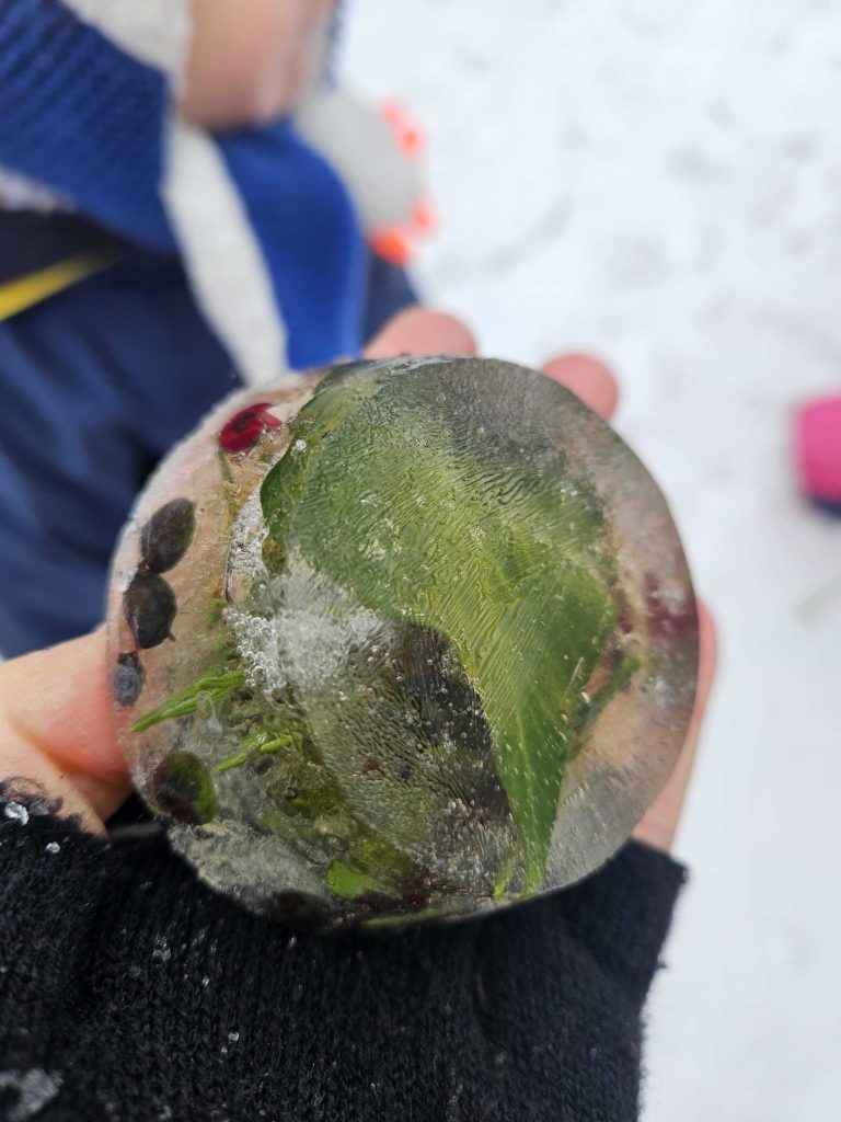 622806506 1205563295055816 4789858983015999524 n